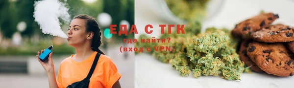 индика Аша