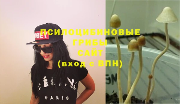 стаф Михайловка