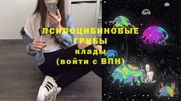 стаф Михайловка