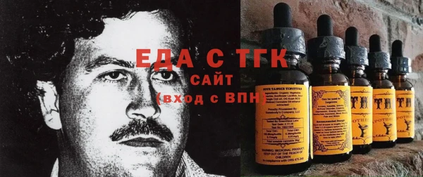 индика Аша