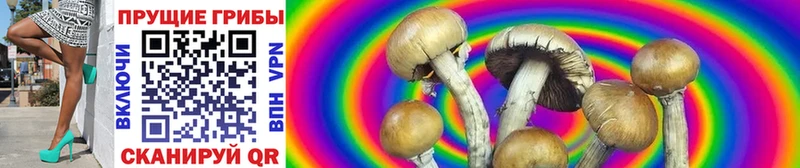 Галлюциногенные грибы GOLDEN TEACHER  где можно купить наркотик  Кандалакша 