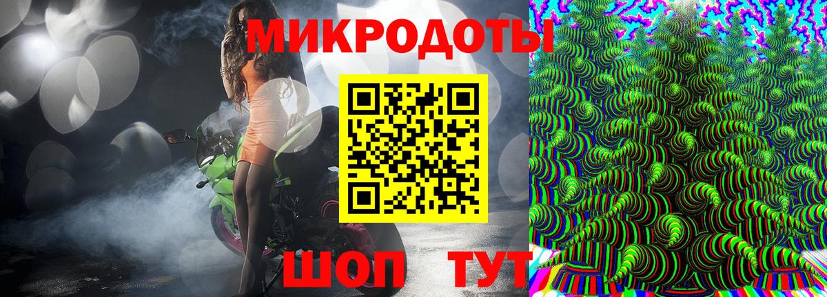 Псилоцибиновые грибы Psilocybe  Вход с VPN  Галлюциногенные грибы мухоморы  Кандалакша 