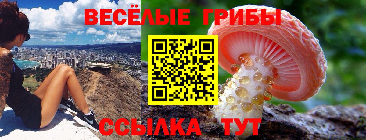Галлюциногенные грибы ЛСД Кандалакша